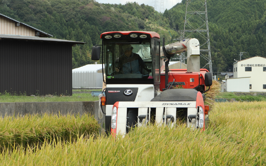 《６か月定期便》《令和7年産》《新米》T rice Store 岐阜県産 コシヒカリ 30kg(5kg×6回）