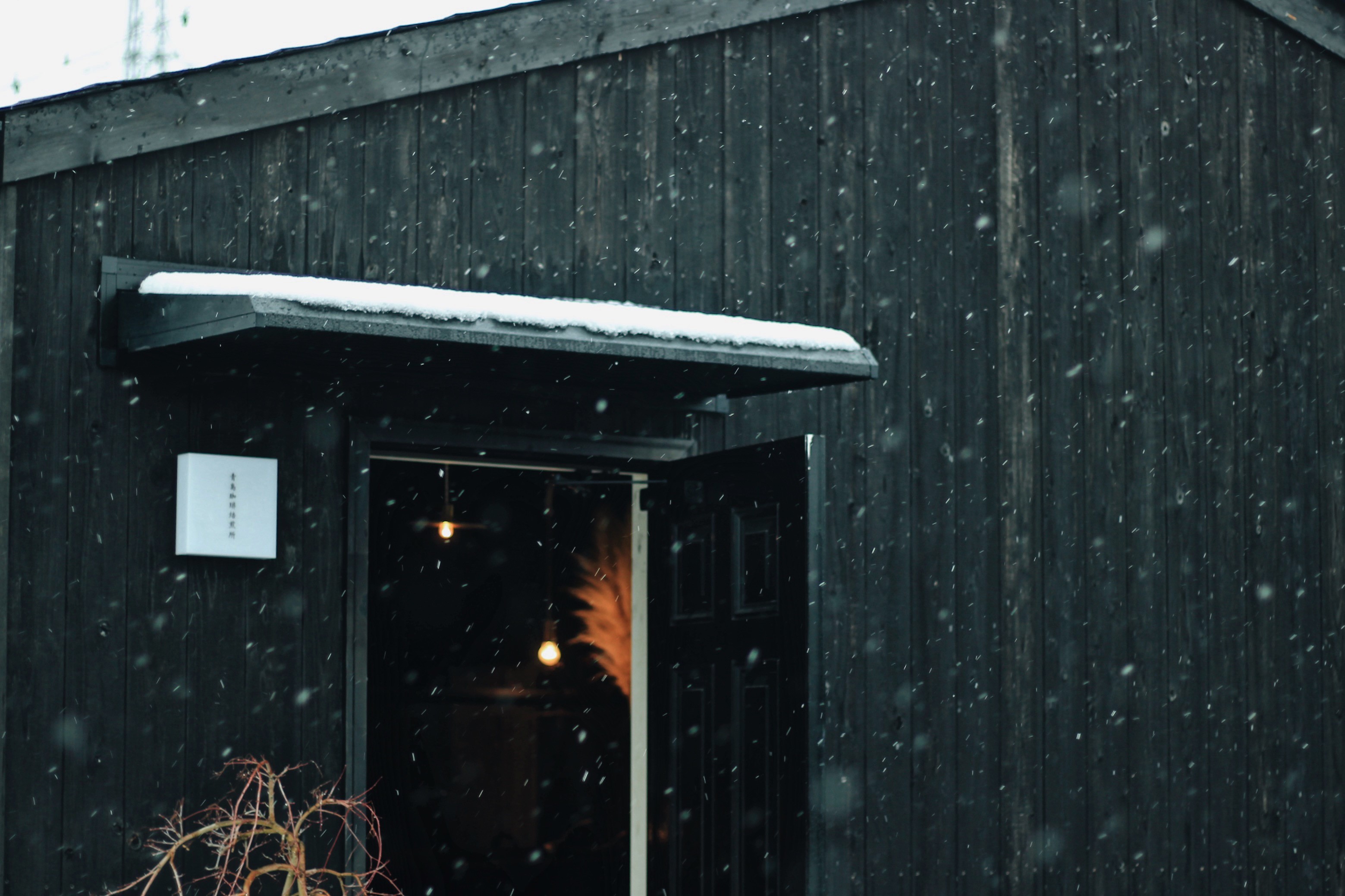 青島珈琲焙煎所ブレンド 3種セット