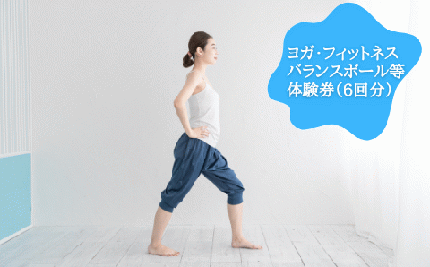 ヨガ・フィットネス・バランスボール等体験券（6回分）