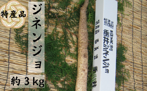 特産品 西美濃 垂井ジネンジョ約3kg