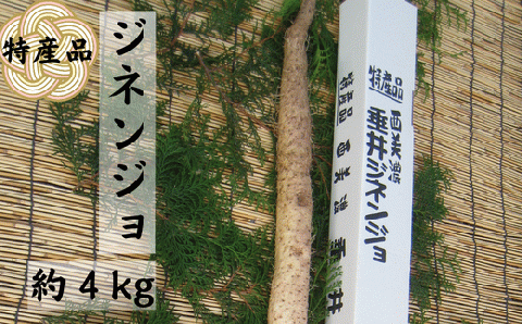 特産品 西美濃 垂井ジネンジョ約4kg