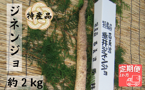 西美濃 垂井ジネンジョ約2kg