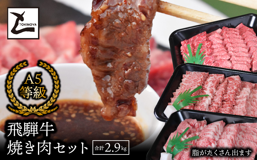 A5飛騨牛焼き肉セット（合計2.9kg）