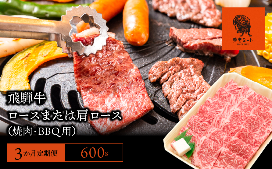 【3か月定期便】【飛騨牛】ロースまたは肩ロース600g (焼肉・BBQ用)