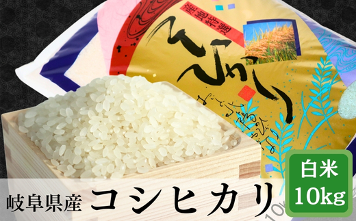 ≪令和7年産≫【新米】 岐阜 コシヒカリ 約10kg
