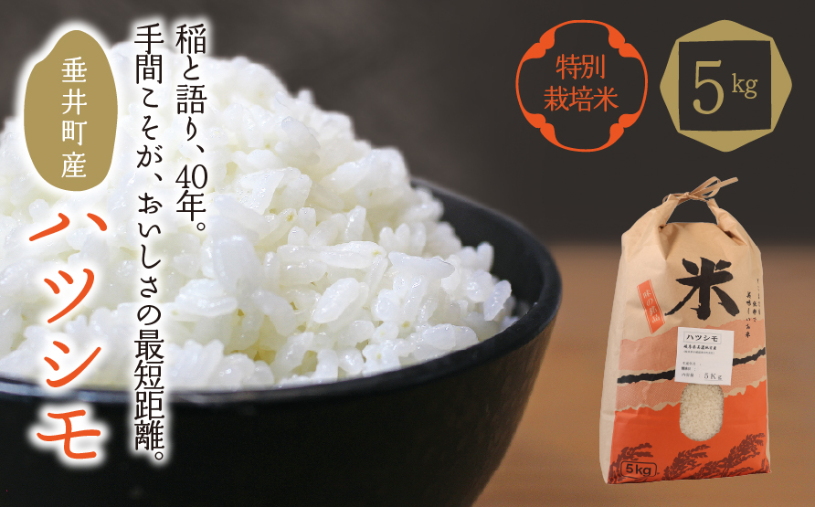 ≪令和7年産≫ 【特別栽培米】垂井町産ハツシモ5kg