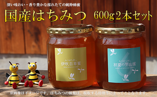 国産はちみつ600g2本セット