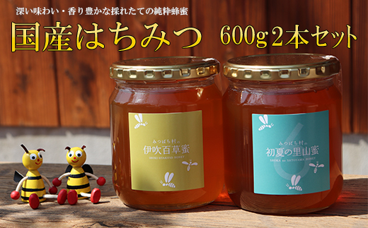 国産はちみつ600g2本セット