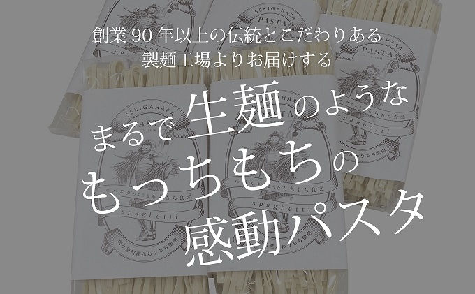 関ケ原町産ふわりもち使用 関ケ原パスタ（平打ち麺）計900g