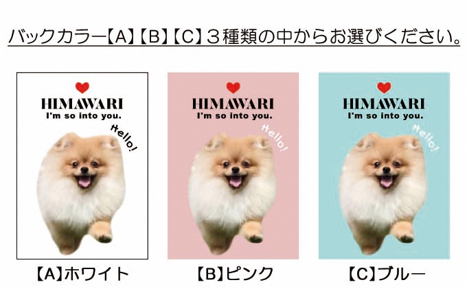 ペットの可愛いお写真をキーホルダーに♪うちの子アクリルキーホルダー（デザインA）【A】ホワイト