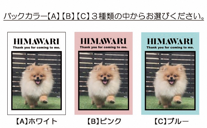 ペットの可愛いお写真をキーホルダーに♪うちの子アクリルキーホルダー（デザインB）【C】ブルー