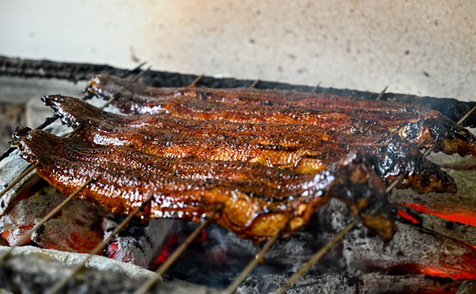 三河一色産 備長炭手焼き 昭和9年創業 魚しげのこだわりのひつまぶし 1名様お食事券