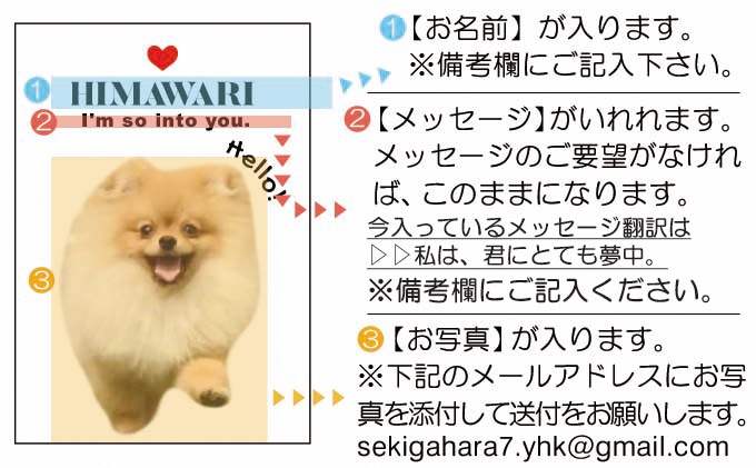 ペットの可愛いお写真をキーホルダーに♪うちの子アクリルキーホルダー（デザインA）【A】ホワイト