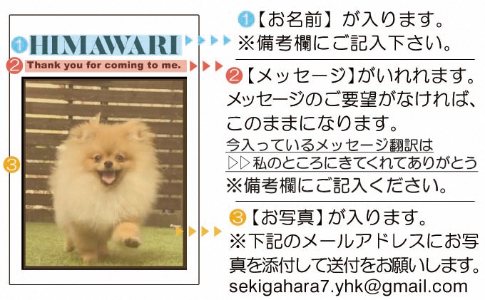 ペットの可愛いお写真をキーホルダーに♪うちの子アクリルキーホルダー（デザインB）【C】ブルー