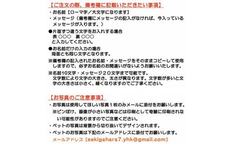 ペットの可愛いお写真をキーホルダーに♪うちの子アクリルキーホルダー（デザインA）【B】ピンク