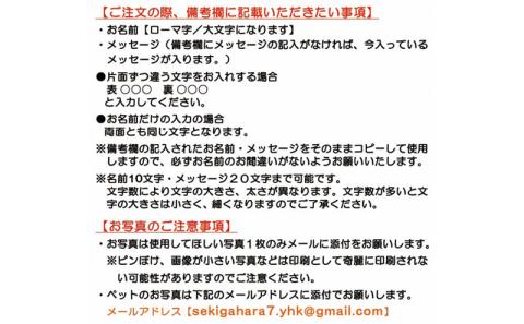 ペットの可愛いお写真をキーホルダーに♪うちの子アクリルキーホルダー（デザインB）【A】ホワイト