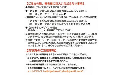 うちの子写真入りキーホルダー♪名前＆メッセージが入る！（デザインA）ピンク