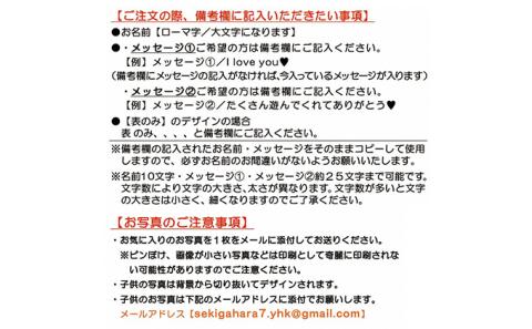 うちの子写真入りキーホルダー♪名前＆メッセージが入る！（デザインB）【A】ホワイト