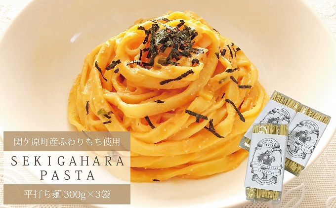 関ケ原町産ふわりもち使用 関ケ原パスタ（平打ち麺）計900g