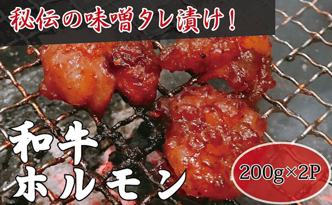 [髙木精肉店手作り]秘伝の味噌タレ漬け和牛ホルモン200g×2P