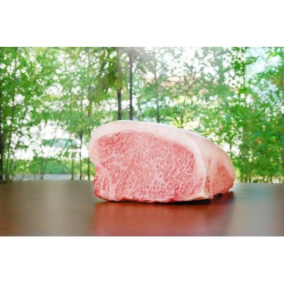 名産飛騨牛ロース(A5等級)薄切り肉500g【配送不可地域：離島】