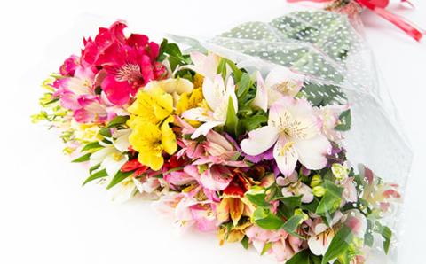 生産者直送!アルストロメリア　花束20本セット【配送不可地域：離島】