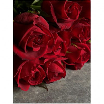 バラの町神戸町【赤いバラ12本の花束】12の誓いのローズブーケ【配送不可地域：離島・北海道・沖縄県・東北・関東・中国・四国・九州】