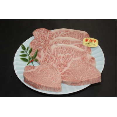 大満足!【飛騨牛A5等級】ステーキ2種 詰め合わせ(ヒレ・サーロイン)計約900g【配送不可地域：離島】