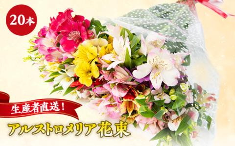生産者直送!アルストロメリア　花束20本セット【配送不可地域：離島】