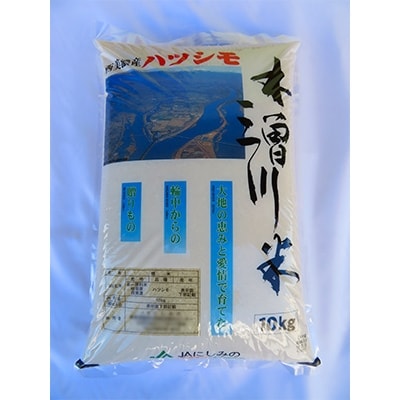 木曽三川米　ハツシモ令和3年産・精米(10kg)