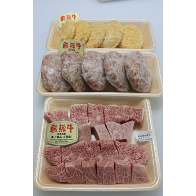 【飛騨牛づくし】鳥文のファミリーセットB【配送不可地域：離島】