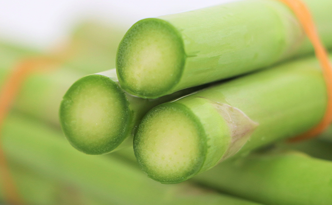 朝採れアスパラ 産地直送で鮮度抜群