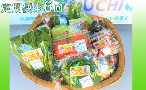 『定期便』【栽培期間中化学肥料・農薬不使用】季節野菜の詰め合わせ全6回