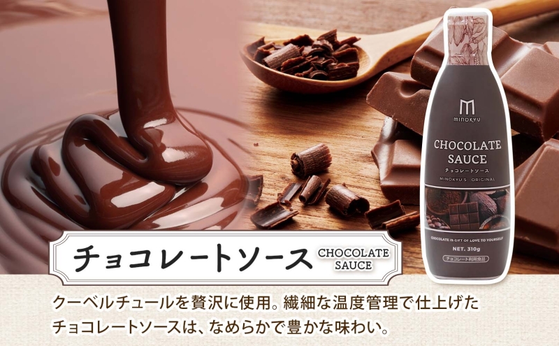 美ノ久 チョコレートソース 310g×3本 チョコレート ソース チョコ クーベルチュール チョコソース デザート アレンジ スイーツ ドリンク トッピング ワッフル パンケーキ チョコレートドリンク お取り寄せ ご当地 送料無料 岐阜県 安八町