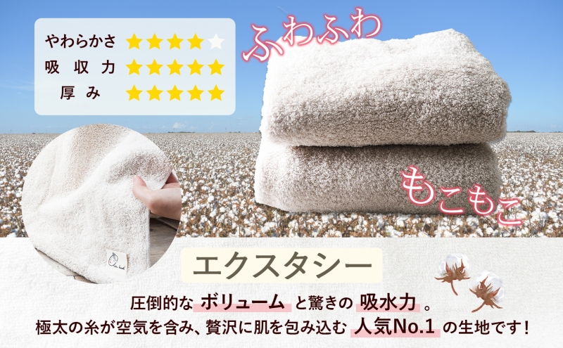 エアーかおる エクスタシー バスタオル 1枚 プレゼント ギフト 贈り物 エアーかおる 吸水力 ふわふわ もこもこ ボリューム 柔らか 赤ちゃん 吸水性 敏感肌 洗顔 内祝い コットン 御礼 お礼 日用品 軽量 綿100% 浅野撚糸 送料無料 岐阜県 安八町