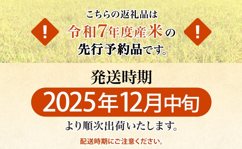 R7年産 特選米 ハツシモ 精米 10kg ×1袋 お米 米 白米 ごはん 新米 精白米 ご飯 はつしも 令和7年産 ブランド米 低農薬 お取り寄せ 産地直送 クリーンファームまき 送料無料 岐阜県 安八町