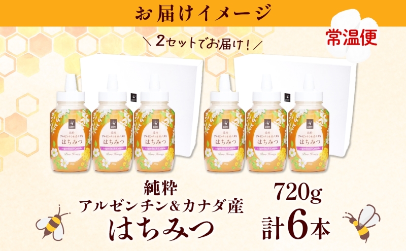 アルゼンチン&カナダ産はちみつ720g 3本入り 2セット 海外産 はちみつ 詰め合わせ ギフト ハニー honey 蜂蜜 甘味料 ハチミツ パン 菓子 トースト ホットケーキ ヨーグルト 調味料 隠し味 常温 常備 お取り寄せ 日新蜂蜜 送料無料 岐阜県 安八町