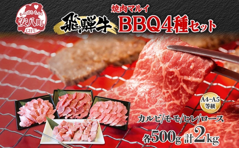 焼肉マルイ 串付き 飛騨牛BBQセット 約2kg 焼肉 串焼き BBQ セット カルビ ヒレ肉 モモ肉 ロース肉 お肉 肉 お家で簡単 本格 国産 国産牛 牛 牛肉 和牛 秘伝のたれ タレ付き 焼くだけ簡単 お取り寄せグルメ 送料無料 岐阜県 安八町