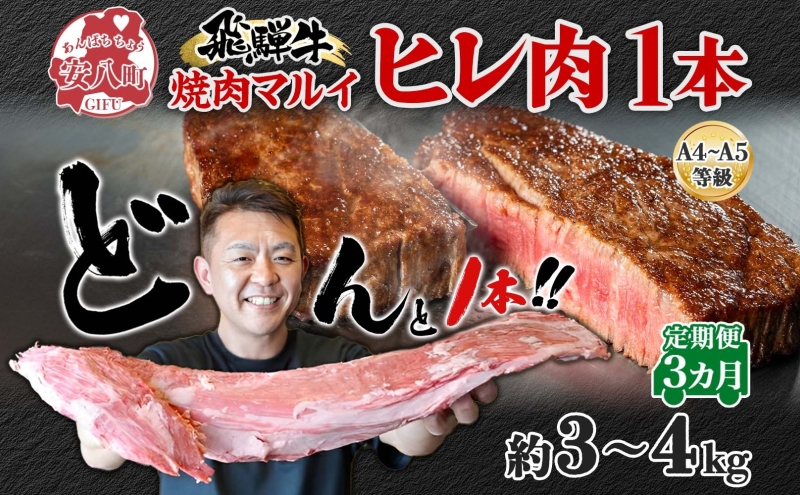 飛騨牛 ヒレ肉 ブロック A4～A5等級 1本3ヵ月定期便約3～4kg  3割×3 ヒレ シャトーブリアン 肉 牛肉 ブランド牛 お肉 和牛 贅沢 お取り寄せ ご褒美 ステーキ 豪華 グルメ 焼肉 BBQ パーティー ギフト 贈り物 自家用 贈答用 焼肉マルイ 岐阜県 【 安八町 】