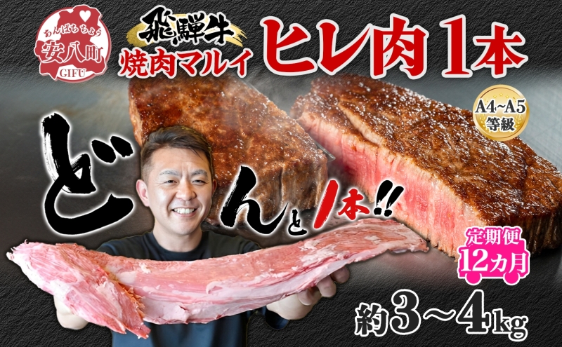 定期便 12ヶ月 飛騨牛 ヒレ肉 1本 A4～A5等級 約3～4kg  3割×6  ヒレ シャトーブリアン 肉 牛肉 ブランド牛 お肉 和牛 贅沢 お取り寄せ ご褒美 ステーキ 豪華 グルメ 焼肉 BBQ ギフト 贈り物 自家用 贈答用 送料無料 焼肉マルイ 岐阜県 安八町