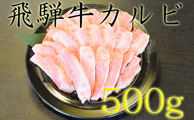 飛騨牛カルビ焼肉（A4～A5等級）約500g（約250g×2パック）