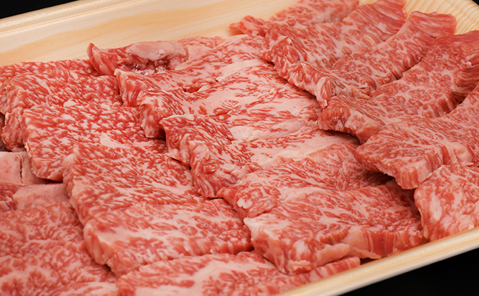 ふるさと納税　飛騨牛 ロース＆カルビ 焼肉 セット  計600g A5 和牛 牛肉 お肉 ロース カルビ 食べ比べ 焼肉用 バーベキュー BBQ