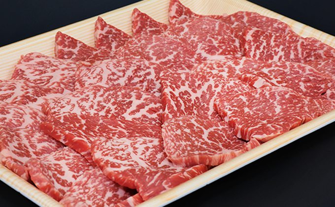 ふるさと納税　飛騨牛 もも肉 赤身 焼肉 500g A5 和牛 牛肉 お肉 モモ モモ肉 焼肉用 バーベキュー BBQ