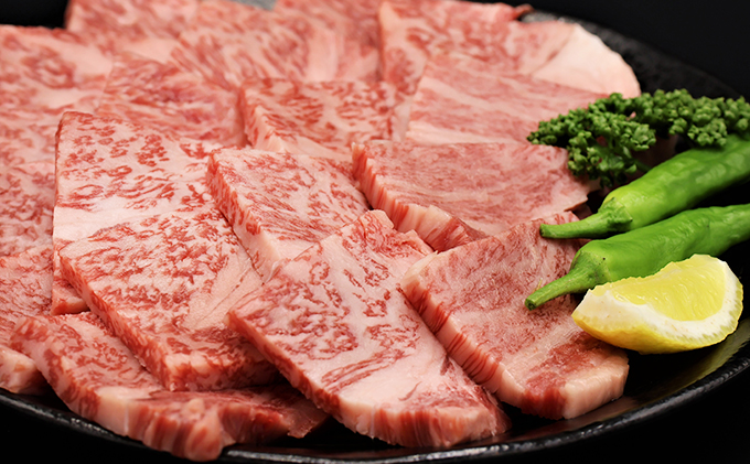 ふるさと納税　飛騨牛 ロース＆カルビ 焼肉 セット  計1kg A5 和牛 牛肉 お肉 ロース カルビ 食べ比べ 焼肉用 バーベキュー BBQ