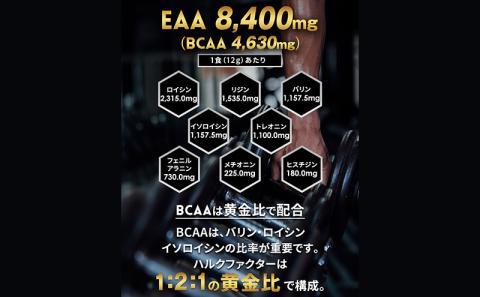 ハルクファクター EAAアセロラ風味 人工甘味料不使用大容量 520g 必須アミノ酸 BCAAプロテイン 人気 おいしい 筋トレ サプリメン 美容燃焼系 ダイエットサプリ国産
