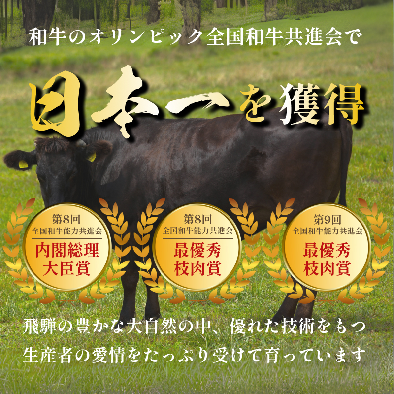 飛騨牛 牛肉 切り落とし 500g×2 計1kg 和牛