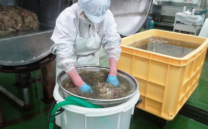 伊豆天草100%　昔ながらの手突きさらしところ天　三杯酢味　1袋2パック入りを12袋セット