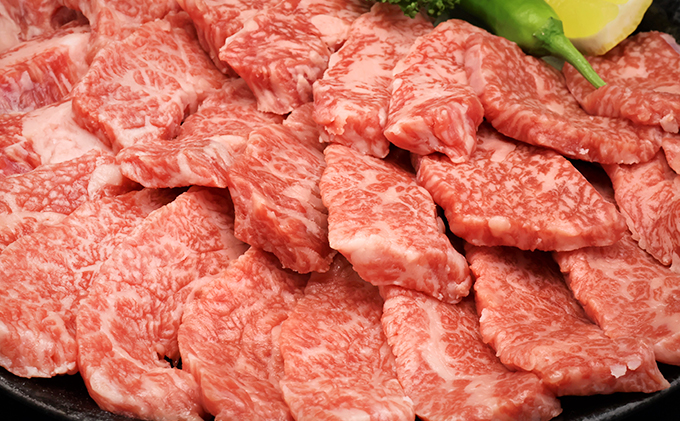 ふるさと納税　飛騨牛 ロース＆カルビ 焼肉 セット  計1kg A5 和牛 牛肉 お肉 ロース カルビ 食べ比べ 焼肉用 バーベキュー BBQ