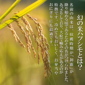 米 6kg (2kg×3袋) ハツシモ 池田町産 8分づき セット 分つき精米 お米 おこめ こめ コメ ごはん ご飯 有機肥料 減農薬栽培 はつしも 岐阜県