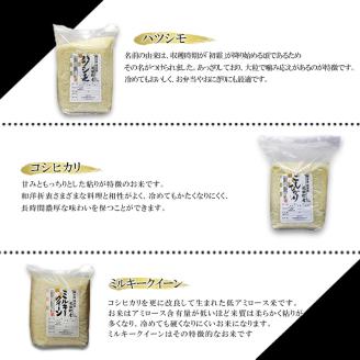 米 6kg (各2kg) ハツシモ コシヒカリ ミルキークイーン 池田町産 8分づき 分つき精米 お米 おこめ こめ コメ ごはん ご飯 有機肥料 減農薬栽培 はつしも こしひかり ミルキークィーン 岐阜県